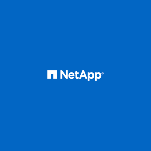 ITGLOBAL.COM Was Granted a NetApp Award for Financial Results over the Year 2019